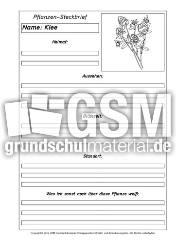 Pflanzensteckbriefvorlage-Klee-SW.pdf